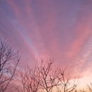 GS25 모충행복점 이미지