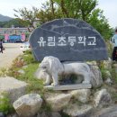 유림초교 이미지