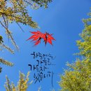이 가을 신중년을 위한 문화 테라피