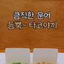 둥지타코엔커피경주