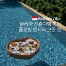 플로팅 | 발리 신혼여행 물리아 플로팅런치 후기, 팜투어 허니문 특전