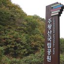 자연을 노래하고 치유를 받는 곳, 산소카페 청송에 물들다