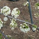 맹호농장 이미지