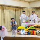 가톨릭소화어린이집 이미지