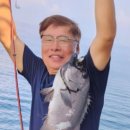 월령이드레