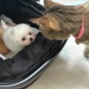 고요하우스 이미지