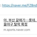 캣쿠