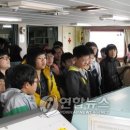 평창초 이미지
