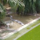 아란농장 이미지