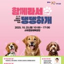 사우문화체육광장 이미지