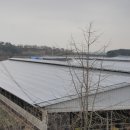 축사에 시공한 국내 최고용량 발전소입니다(414kw)'전북 정읍시 정우면 장순리 이미지