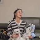 한고은 카카오 검색결과