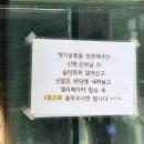 케이(K)7피씨텔 | [공지] W.12 제주웨딩스냅 숨결 촬영 후기 / 숨결 / 케이살롱(Ksalon)