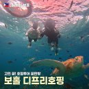 디프리 - 전주시 덕진구 출판로 85 | 보홀 발리카삭 디프리호핑 솔직후기, 한바다와 고민 끝에 선택한 이유