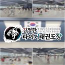 김정한 타이거 태권도장 이미지
