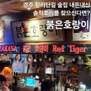 경주 붉은호랑이, 황리단길 술집 내돈내산 후기