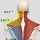 운동하는날 낙성대점 | 낙성대역 헬스장 프리미엄 피티샵 추천 [운동하는 날 낙성대점]