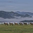 (주) 부경팜 이미지