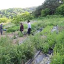 고재형농장 이미지