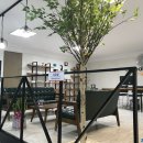 선진메디칼 이미지