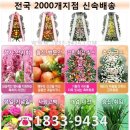완주꽃배달써비스 이미지
