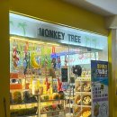 코코앤망고 | 세부 쇼핑리스트 막탄 기념품샵 코코망고 몽키트리