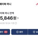 세이브머니(save money) | 프랑스 Grenoble 교환학생 지출 총결산 & 마무리