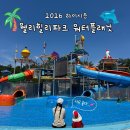 웰리힐리파크 워터플래닛 오픈런 준비물 푸드코트정보