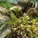 희정이네농장 이미지