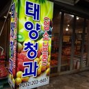 태양청과 이미지