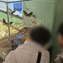 여주곤충박물관 이미지