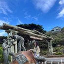 오션로드[소그룹진행]+2.퍼핑빌리,펭귄행진[색다른일정,확인필수] ] 中 그레이트오션로드 투어 후기
