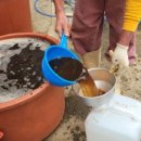 정영농장 이미지