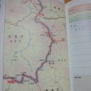 차돌배기로1 Daum카페