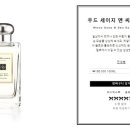 나무 앤 씨 이미지