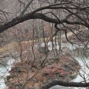 하동운암영당 최익현 초상 | 하동1, 청학동, 삼선궁,청룡리 은행나무