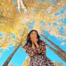 점곡초등학교 이미지