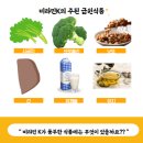 비타민K 티스토리