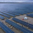 짱족의발전 이미지