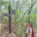 내기경로당 | 구병산(적암리~팔각정~능선삼거리~신선대~852봉~구병산삼거리~구병산~구병산삼거리~협곡너들길~적암리...