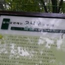 월미랜드 이미지