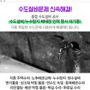 수정이화약국 이미지