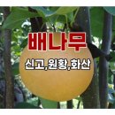 장원농원 이미지