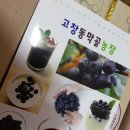 동막골 농장 이미지