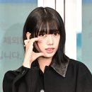 수인 이미지