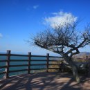 금오도 휴식처 이미지