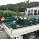 만경식품 이미지