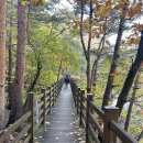 마천루 | 🏞️ 두타산 베틀바위-협곡 마천루 산행 후기