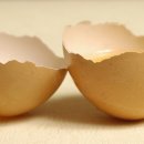 흑백세탁 이미지