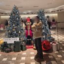 호텔 후 | 머큐어 서울 마곡 앰배서더 호텔에서 예식 후 1박 + 조식 모아시스 후기